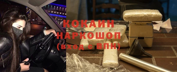 мдпв Инсар