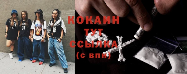 мдпв Инсар