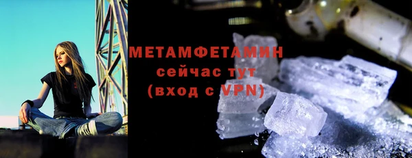 ГАЛЛЮЦИНОГЕННЫЕ ГРИБЫ Инта