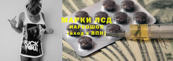 ГАЛЛЮЦИНОГЕННЫЕ ГРИБЫ Инта