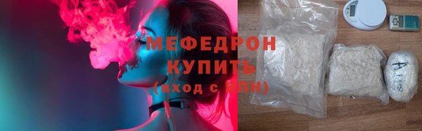 мдпв Инсар