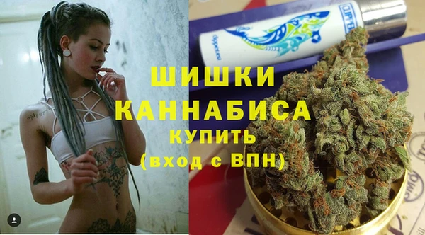 молекула духа Зерноград