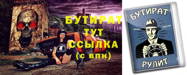 ГАЛЛЮЦИНОГЕННЫЕ ГРИБЫ Инта