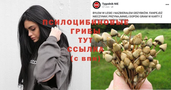 ГАЛЛЮЦИНОГЕННЫЕ ГРИБЫ Инта