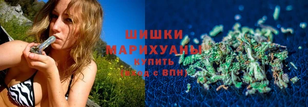 ГАЛЛЮЦИНОГЕННЫЕ ГРИБЫ Инта