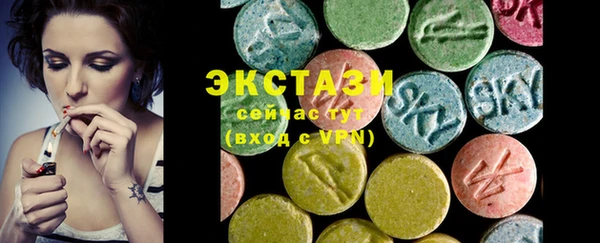 мдпв Инсар