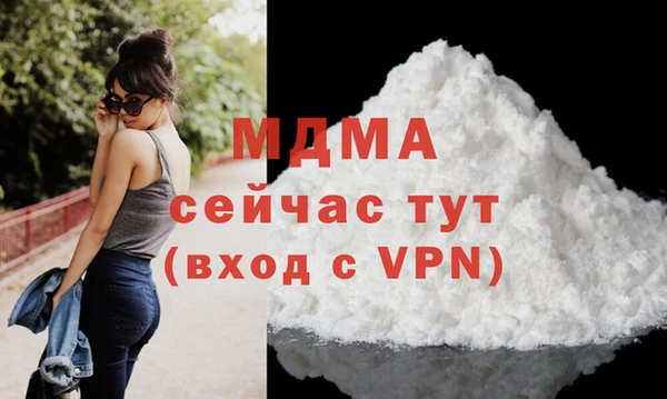 мдпв Инсар