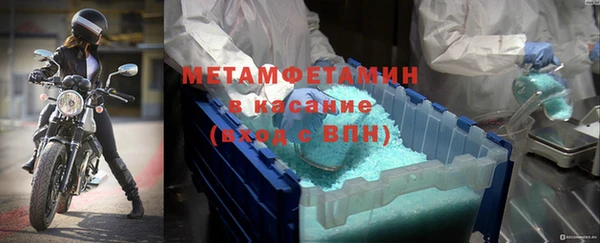 мдпв Инсар