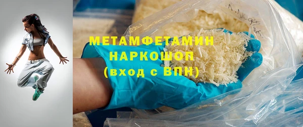 мдпв Инсар