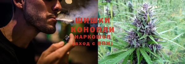 ГАЛЛЮЦИНОГЕННЫЕ ГРИБЫ Инта