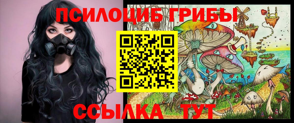 Галлюциногенные грибы мицелий Кемерово