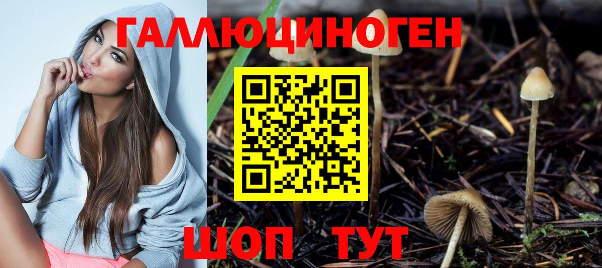 Галлюциногенные грибы прущие грибы  Вход с VPN  Кемерово 